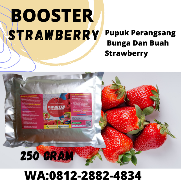 TERMURAH, 0812-2882-4834, Grosir Pupuk Organik Untuk Strawberry Surabaya, Toko Pupuk Untuk Strawberry Dalam Pot Bangkalan, Pusat Pupuk Organik Strawberry Banyuwangi