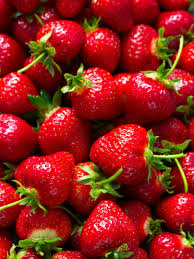 TERMURAH, 0812-2882-4834, Grosir Pupuk Organik Untuk Strawberry Surabaya, Toko Pupuk Untuk Strawberry Dalam Pot Bangkalan, Pusat Pupuk Organik Strawberry Banyuwangi
