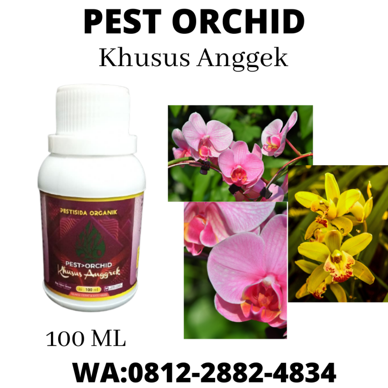 Special, 0812-2882-4834, Tempat Pestisida Untuk Bunga Anggrek  Bantul,Toko Pestisida Alami Untuk Bunga Anggrek Gunungkidul, Asli Pestisida Anti Rontok Bunga Anggrek Kulon Progo