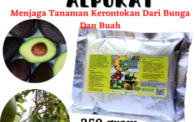 Terbaik, 0812-2882-4834, Jual Obat Buah Alpukat Surabaya, Agen Pupuk Alpukat Cepat Buah Bangkalan, Distributor pupuk Buah Tanaman Alpukat Banyuwangi