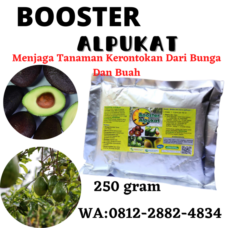 Terbaik, 0812-2882-4834, Jual Obat Buah Alpukat Surabaya, Agen Pupuk Alpukat Cepat Buah Bangkalan, Distributor pupuk Buah Tanaman Alpukat Banyuwangi