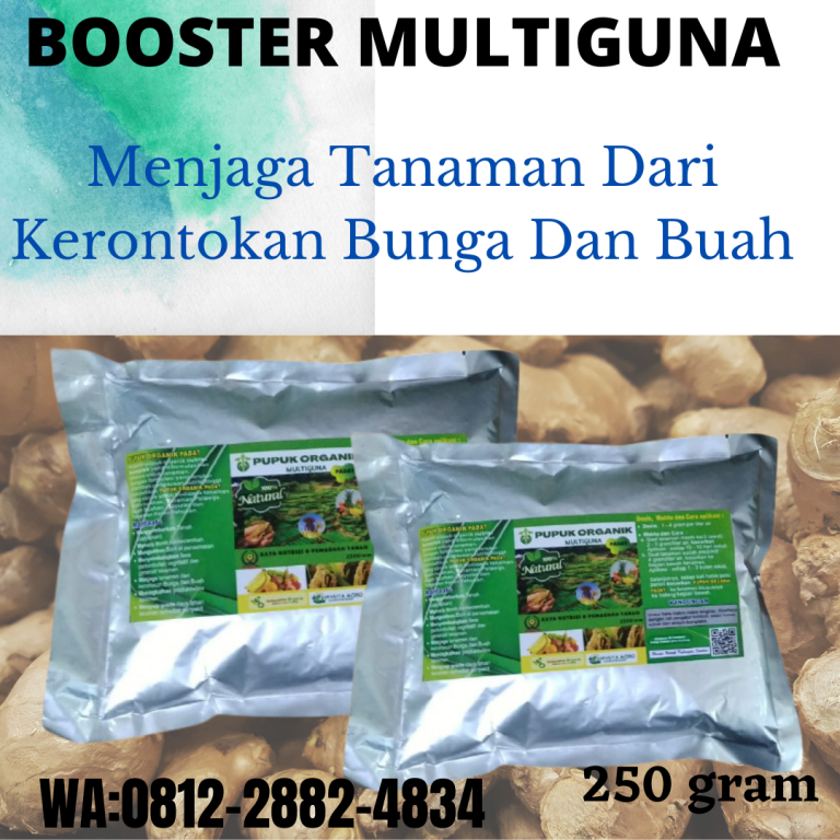 Terbaru, 081228824834, Jual Pupuk Untuk Umbi Jahe Lampung Selatan, Agen Pupuk Pembesar Umbi Jahe Kalianda, Distributor Pupuk Memperbesar Umbi Jahe Lampung Tengah