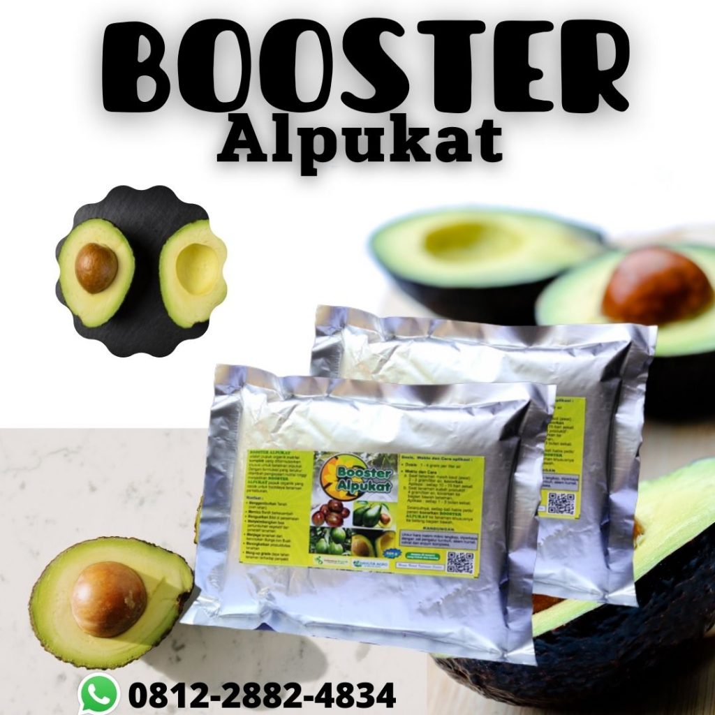 Termurah, 0812-2882-4834, Agen Booster Tanaman Alpukat Jakarta, Distributor Pupuk Buat Alpukat Jakarta Kota, Harga Pupuk Buat Pohon Alpukat Jakarta Pusat, Produsen Pupuk Untuk Pembuahan Alpukat Kepulauan Seribu, Grosir Pupuk Untuk Bibit Alpukat Pulau Pramuka, Pabrik Pupuk Untuk Tabulampot Alpukat Jakarta Barat, Murah Pupuk Buah Alpukat Kembangan, Diskon Pupuk Perangsang Buah Alpukat Menteng, Tempat Pupuk Pelebat Buah Alpukat Jakarta Selatan, Toko Pupuk Pembesar Buah Alpukat Kebayoran Baru