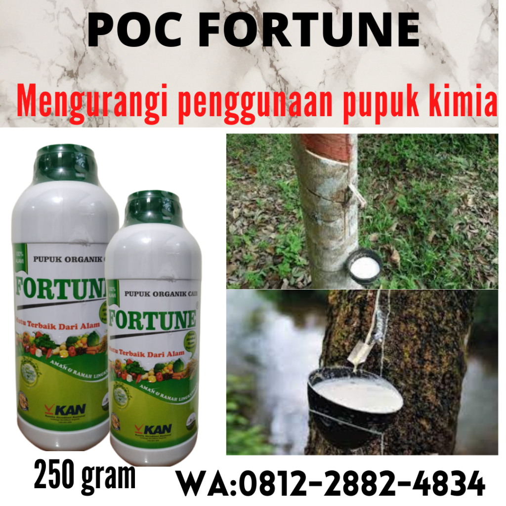 Termurah, 0812-2882-4834, Jual Pupuk Tanaman Karet Pekan Baru, Agen Pupuk Tanaman Karet Yang Bagus Kampar, Distributor Pupuk Untuk Tanaman Karet Produksi Bangkinang
