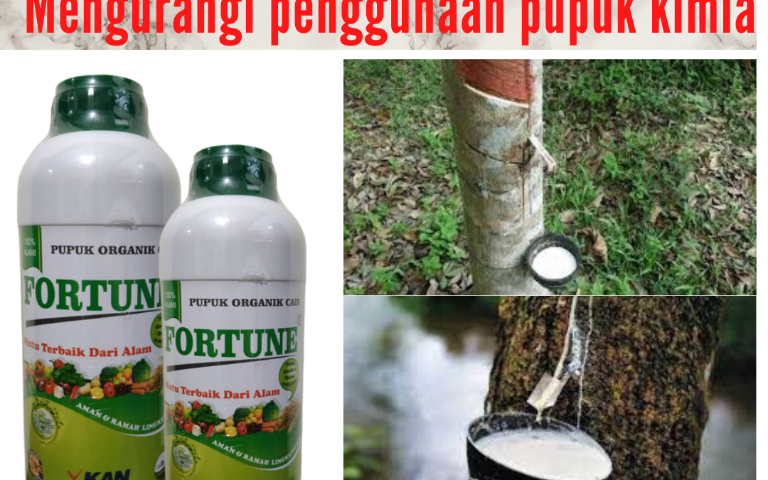 Termurah, 0812-2882-4834, Jual Pupuk Tanaman Karet Pekan Baru, Agen Pupuk Tanaman Karet Yang Bagus Kampar, Distributor Pupuk Untuk Tanaman Karet Produksi Bangkinang