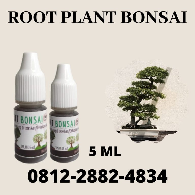 Terpercaya, 0812-2882-4834, Harga Pupuk Bonsai Asem Jawa Semarang, Produsen Pupuk Bonsai Serut Brebes, Grosir Pupuk Bonsai Beringin Cilacap