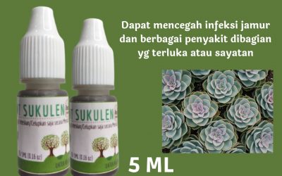 Terpercaya, 0812-2882-4834, Harga Pupuk Khusus Sukulen Surabaya, Produsen Pupuk Tanaman Sukulen Bangkalan, Grosir Pupuk Cair Sukulen Banyuwangi