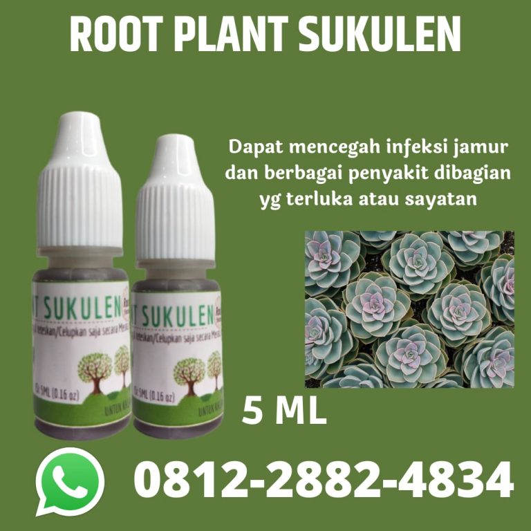 Terpercaya, 0812-2882-4834, Harga Pupuk Khusus Sukulen Surabaya, Produsen Pupuk Tanaman Sukulen Bangkalan, Grosir Pupuk Cair Sukulen Banyuwangi