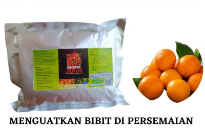 Terpercaya, 0812-2882-4834, Harga Pupuk Untuk Jeruk Medan, Produsen Pupuk Untuk Buah Jeruk Tapanuli Tengah, Grosir Pupuk Untuk Jeruk Manis Pandan