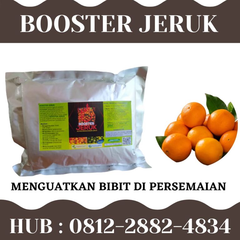 Terpercaya, 0812-2882-4834, Harga Pupuk Untuk Jeruk Medan, Produsen Pupuk Untuk Buah Jeruk Tapanuli Tengah, Grosir Pupuk Untuk Jeruk Manis Pandan