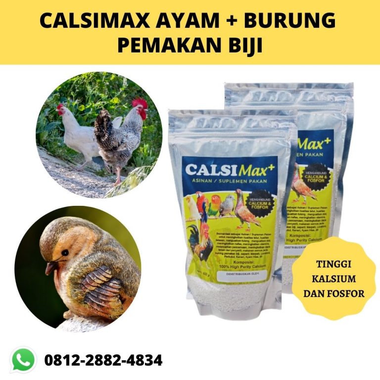 TERBARU, 0812-2882-4834, Toko Calsimax+ Pakan Anak Burung Perkutut Semarang, Pusat Calsimax Pakan Burung Dara Agar Cepat Bertelur Brebes, Asli Calsimax Pakan Burung Derkuku Anakan Cilacap