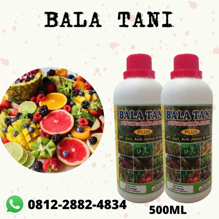PROMO, 0812-2882-4834, Toko Pupuk Buah Mangga Pekan Baru, Pusat Pupuk Buah Anggur Kampar, Asli Pupuk Buah Sawit Bangkinang
