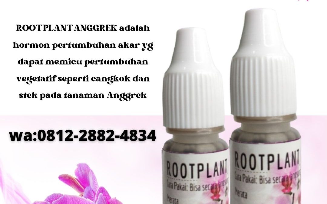 Toko Pupuk Kaktus Mini Surabaya, Asli Pupuk Untuk Kaktus Mini Bangkalan, Beli Pupuk Kaktus Sukulen Banyuwangi, Promo Pupuk Tanaman Kaktus Kanigoro, Jual Pupuk Untuk Kaktus Bojonegoro, Agen Pupuk Dekastar Untuk Kaktus Bondowoso, Distributor Pupuk Kaktus Agar Cepat Besar Gresik, Harga Pupuk Kaktus Cepat Beranak Jombang, Produsen Pupuk Untuk Bunga Kaktus Kediri, Grosir Pupuk Yang Cocok Untuk Kaktus Ngasem