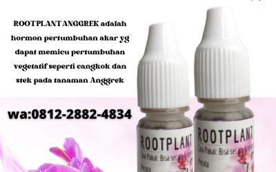 Organik, 0812-2882-4834, Toko Pupuk Kaktus Mini Surabaya, Asli Pupuk Untuk Kaktus Mini Bangkalan, Beli Pupuk kaktus sukulen Banyuwangi
