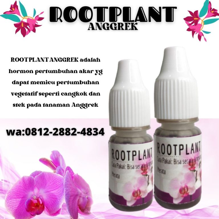 Organik, 0812-2882-4834, Toko Pupuk Kaktus Mini Surabaya, Asli Pupuk Untuk Kaktus Mini Bangkalan, Beli Pupuk kaktus sukulen Banyuwangi
