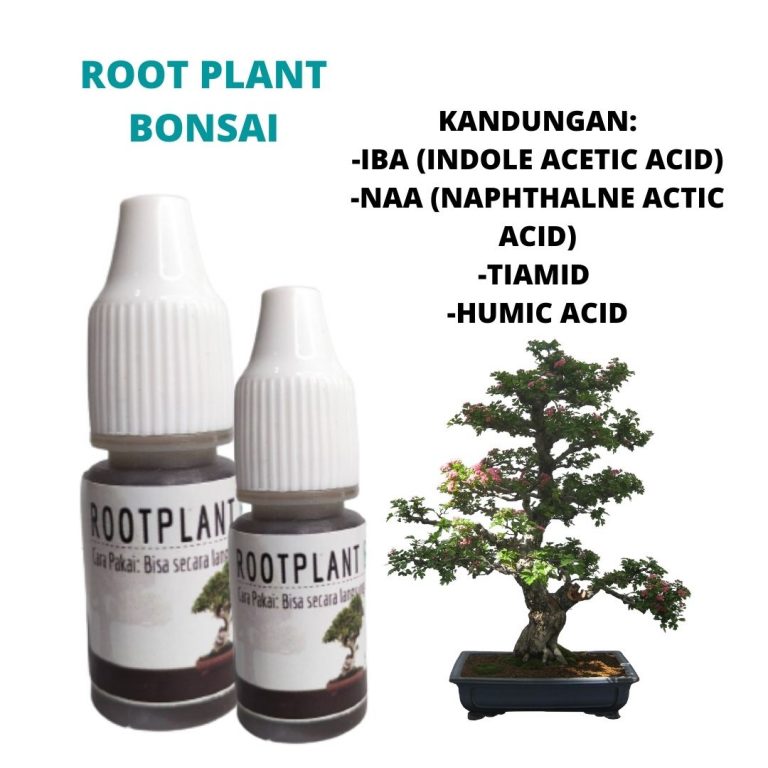 Organik, 0812-2882-4834, Toko Pupuk Khusus Bonsai Semarang, Asli Pupuk Untuk Bonsai KelapaBrebes , Beli Pupuk Bonsai Murbei Cilacap