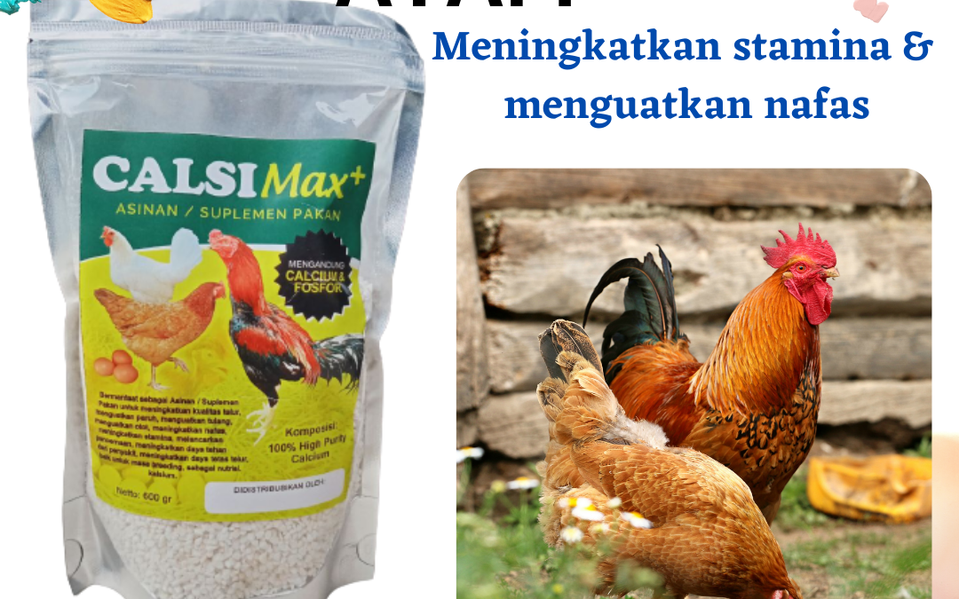 AMANAH, 0812-2882-4834, Asli CalsiMAX+ Suplemen Pakan supaya ayam nafsu makan Badung, Supplier CalsiMAX Suplemen Kalsium ayam penambah nafsu makan Mangupura, Jual CalsiMAX Suplemen Calcium pembentuk otot ayam Bangli