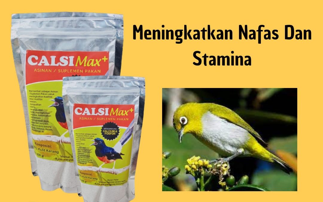 AMANAH, 0812-2882-4834, Pabrik Calsimax Suplemen Calcium Burung Kristal Lampung Selatan, Grosir Calsimax+ Asupan Kalsium Burung Mabung Kalianda, Toko Calsimax Vitamin Kalsium Burung Paling Laris Lampung Tengah