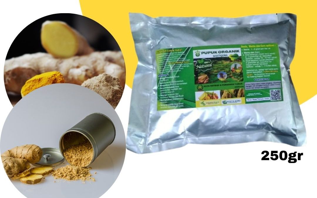 Beli Pupuk Organik Tanaman Jahe Bengkulu Selatan, Promo Pupuk Organik Untuk Jahe Kota Manna, Jual Nutrisi Jahe Merah Rejang Lebong, Beli Pupuk Organik Tanaman Jahe Curup