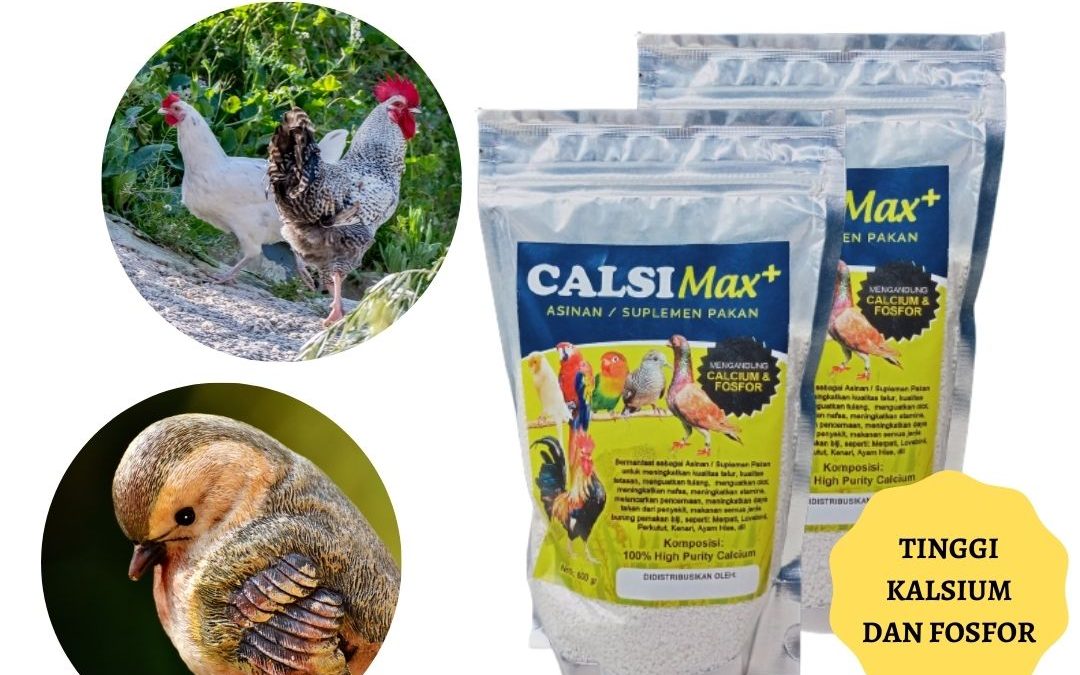 Toko Calsimax+ Pakan Anak Burung Perkutut Semarang, Pusat Calsimax Pakan Burung Dara Agar Cepat Bertelur Brebes, Asli Calsimax Pakan Burung Derkuku Anakan Cilacap, Supplier Calsimax+ Pakan Burung Lovebird Biar Gacor Demak