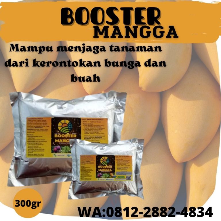 Tersedia, 0812-2882-4834, Agen Booster Mangga Pekan Baru, Murah Booster Buah Mangga Kampar, Beli Pupuk Pelebat Buah Mangga Bangkinang