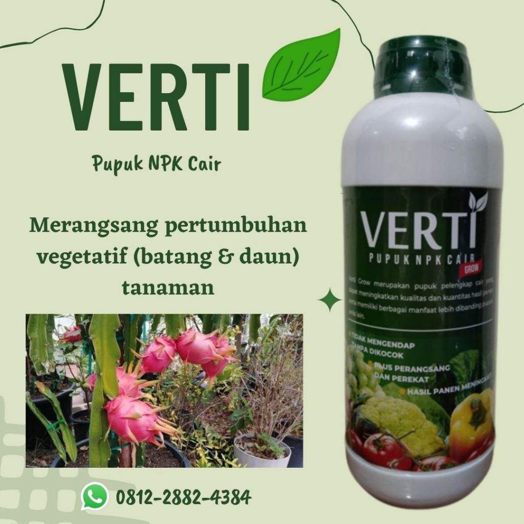 Agen Pupuk Buah Naga Agar Cepat Berbuah Soreang, Harga Pupuk Buah Naga Saat Berbunga Bandung Barat, Distributor Pupuk Buah Naga Cepat Berbuah Ngamprah, Harga Pupuk Untuk Buah Naga Bekasi