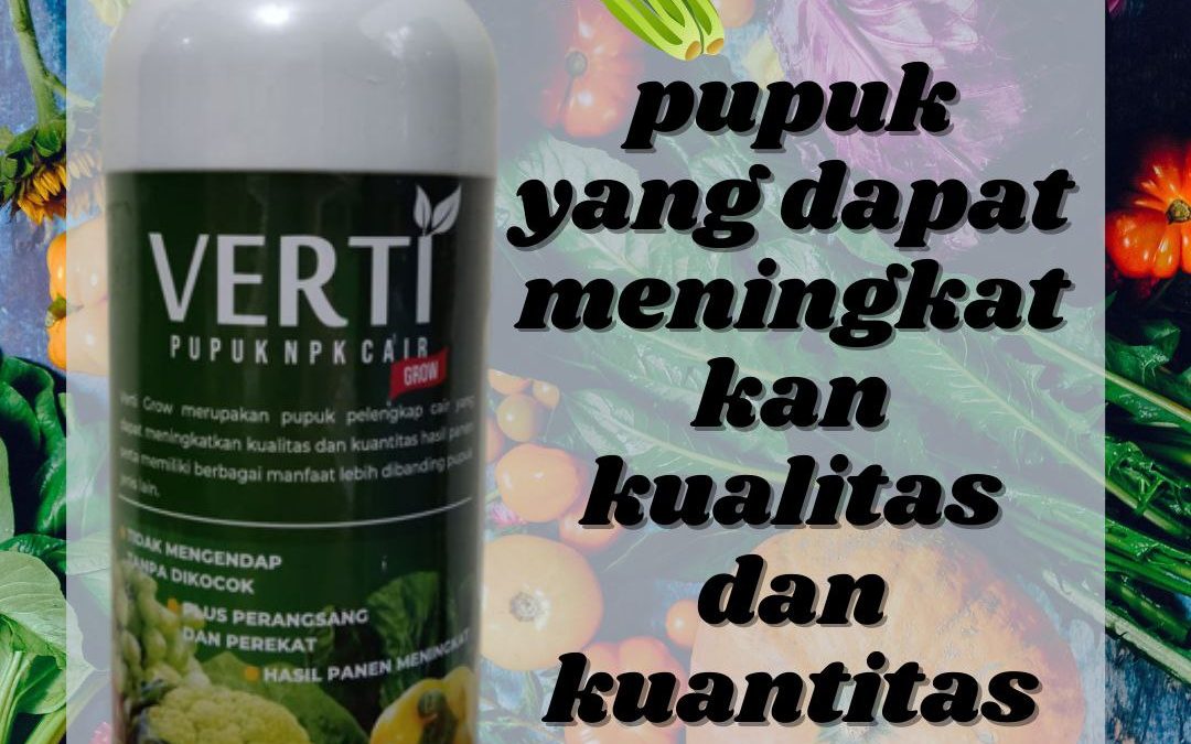 PROMO, 0812-2882-4834, Agen Pupuk Npk Untuk Stroberi Banda Aceh, Distributor Pupuk Npk Untuk Sayuran Daun Aceh Barat, Harga Pupuk Npk Untuk Tanaman Meulaboh