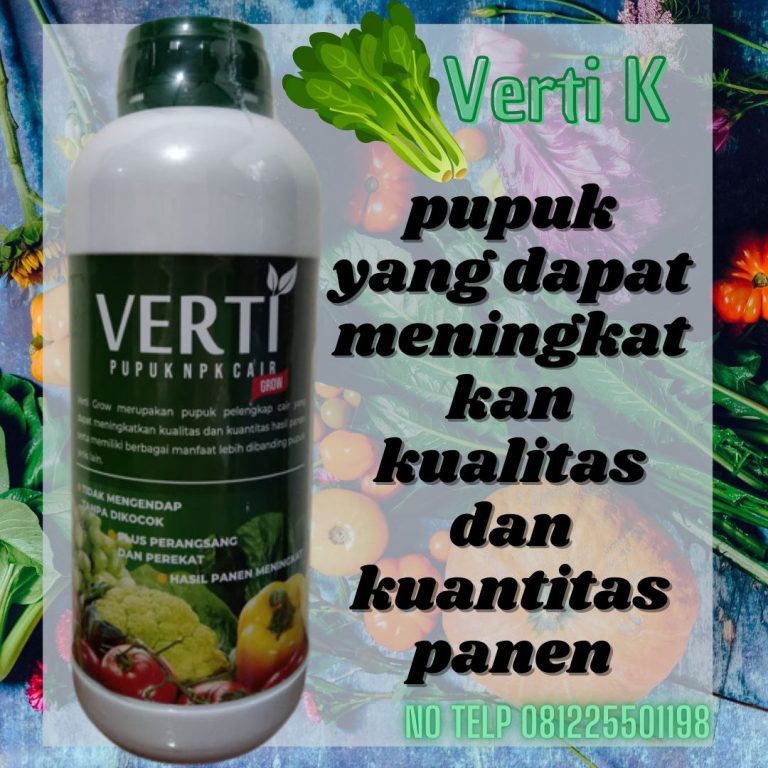 PROMO, 0812-2882-4834, Agen Pupuk Npk Untuk Stroberi Banda Aceh, Distributor Pupuk Npk Untuk Sayuran Daun Aceh Barat, Harga Pupuk Npk Untuk Tanaman Meulaboh