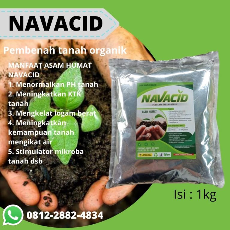 Pertanian, 0812-2882-4834, Agen Pupuk Penyubur Tanah Tandus Badung, Distributor Pupuk Untuk Tanah Tandus Mangupura, Harga Pupuk Untuk Tanah Rawa Bangli
