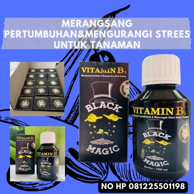 Promo, 0812-2882-4834, Agen Pupuk Untuk Tanaman Hias Monstera Kupang, Distributor Pupuk Tanaman Hias Yang Murah Oelamasi, Harga Obat Dan Pupuk Tanaman Hias Mataram