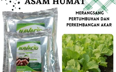 Aman, 0812-2882-4834, Tempat Pupuk Penggembur Tanah Liat Muara Teweh, Toko Pupuk Untuk Tanah Masam, Jual Pupuk Padi Tanah Masam Katingan