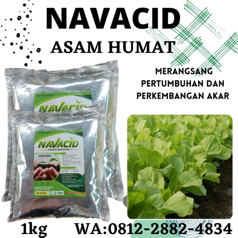 Aman, 0812-2882-4834, Tempat Pupuk Penggembur Tanah Liat Muara Teweh, Toko Pupuk Untuk Tanah Masam, Jual Pupuk Padi Tanah Masam Katingan