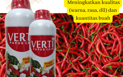 Amanah, 0812-2882-4834, Murah Pupuk Untuk Semai Cabe Banda Aceh, Diskon Pupuk Untuk Cabe Terbaik Aceh Barat, Tempat Pupuk Cabe Agar Tidak Keriting Meulaboh