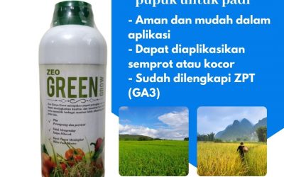 Terbaik, 0812-2882-4834, Asli Pupuk Padi Paling Bagus Kupang, Beli Pupuk Padi Agar Tidak Roboh Oelamasi, Promo Pupuk Padi Tahan Rebah Timor Tengah Selatan