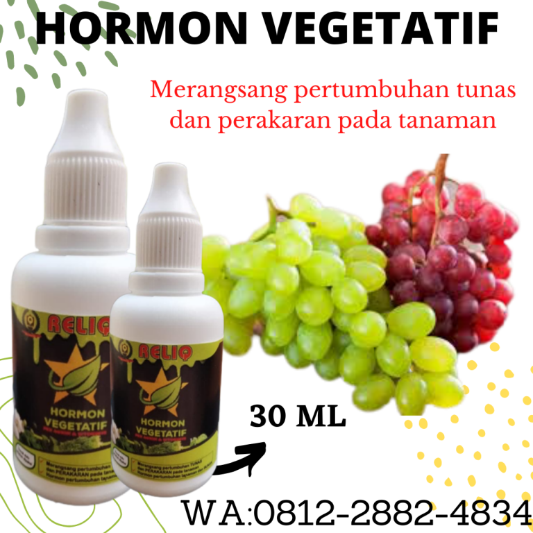 Online, 0812-2882-4834, Harga Pupuk Hormon Organik Anggur Semarang, Produsen Pupuk Organik Cair Untuk Anggur Brebes, Grosir Pupuk Untuk Mempercepat Pertumbuhan Anggur Cilacap