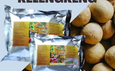 Terpercaya, 0812-2882-4834, Beli Pupuk Kelengkeng Agar Berbuah Lebat Surabaya, Sedia Pupuk Kelengkeng Supaya Cepat Berbuah Bangkalan, Jual Pupuk Kelengkeng Agar Cepat Besar Banyuwangi