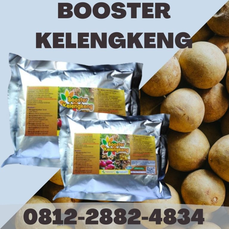 Terpercaya, 0812-2882-4834, Beli Pupuk Kelengkeng Agar Berbuah Lebat Surabaya, Sedia Pupuk Kelengkeng Supaya Cepat Berbuah Bangkalan, Jual Pupuk Kelengkeng Agar Cepat Besar Banyuwangi