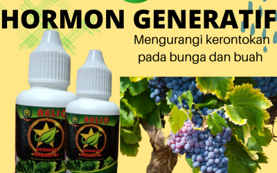 Diskon, 0812-2882-4834, Grosir Pupuk Anggur Agar Cepat Berbuah Soreang, Pabrik Pupuk Anggur Agar Berbuah Lebat Bandung Barat, Murah Pupuk Anggur Cepat Berbuah Ngamprah