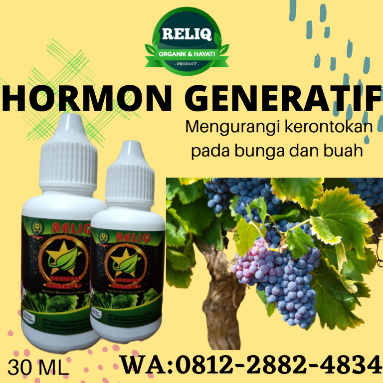 Diskon, 0812-2882-4834, Grosir Pupuk Anggur Agar Cepat Berbuah Soreang, Pabrik Pupuk Anggur Agar Berbuah Lebat Bandung Barat, Murah Pupuk Anggur Cepat Berbuah Ngamprah