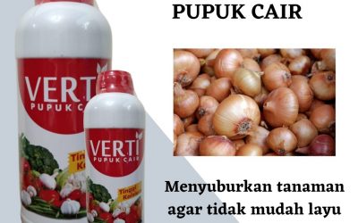 Terbaru, 0812-2882-4834, Diskon Pupuk Bawang Merah Umur 25 Padang, Tempat Pupuk Bawang Merah Umur 35 Hari Painan, Jual Pupuk Ke 3 Bawang Merah Sijunjung