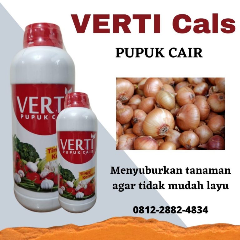 Terbaru, 0812-2882-4834, Diskon Pupuk Bawang Merah Umur 25  Padang, Tempat Pupuk Bawang Merah Umur 35 Hari Painan, Jual Pupuk Ke 3 Bawang Merah Sijunjung