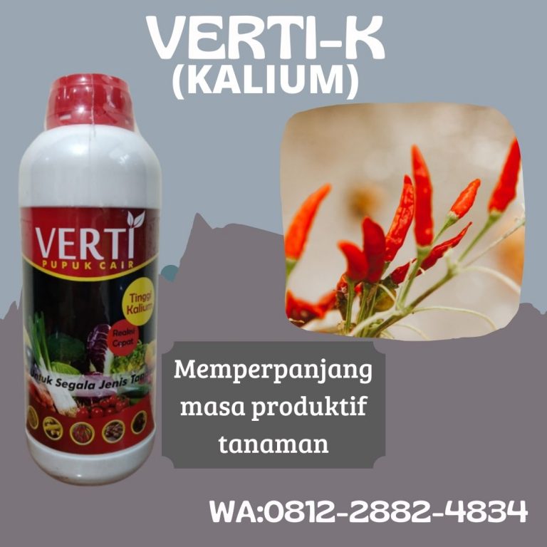 Hari Ini, 0812-2882-4834, Diskon Pupuk Cabe Rawit Musim Hujan  Padang, Jual Pupuk Cabe Rawit Umur 2 Bulan Painan, Harga Pupuk Cabe Setelah Panen Sijunjung
