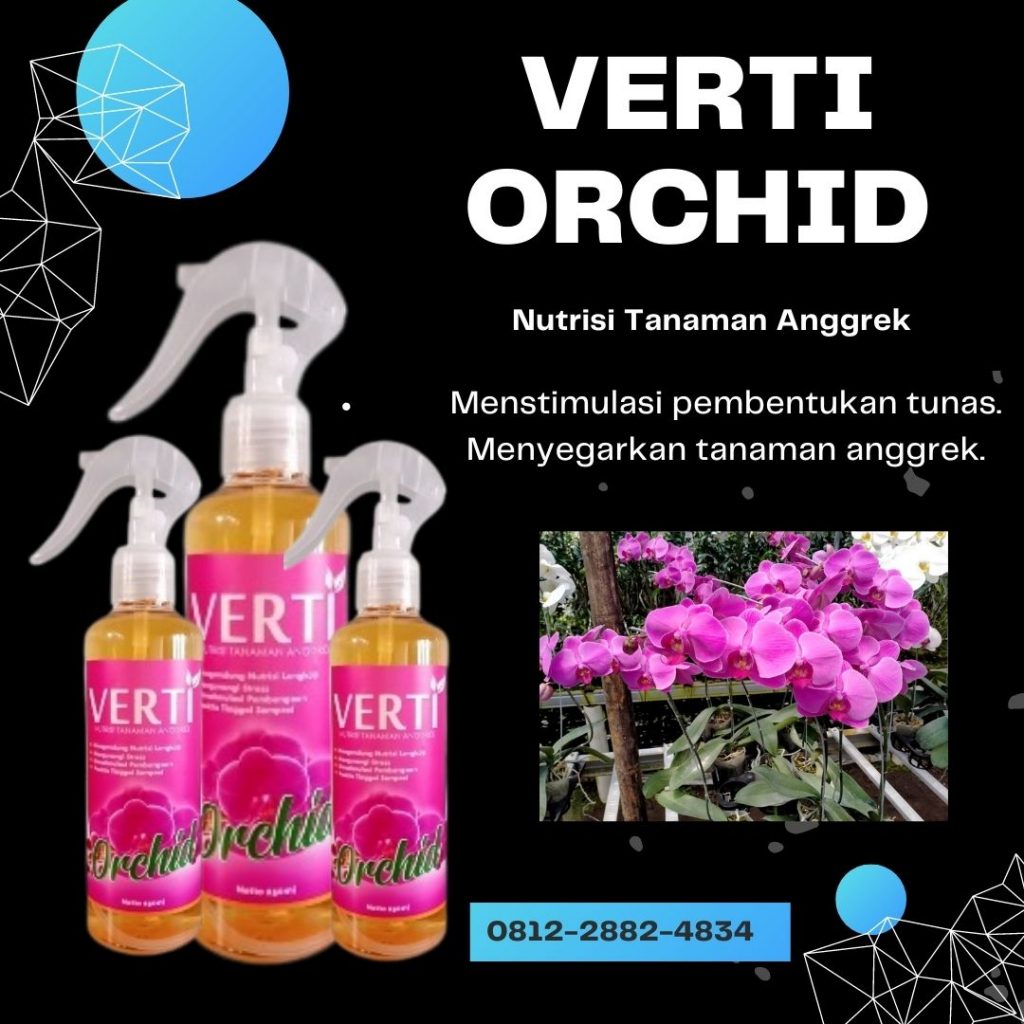 Gosir Pupuk Bunga Anggrek Bulan Semarang, Pabrik Pupuk Perangsang Bunga Anggrek Brebes, Murah Pupuk Daun Untuk Bunga Anggrek Cilacap, Diskon Pupuk Penyubur Bunga Anggrek Demak