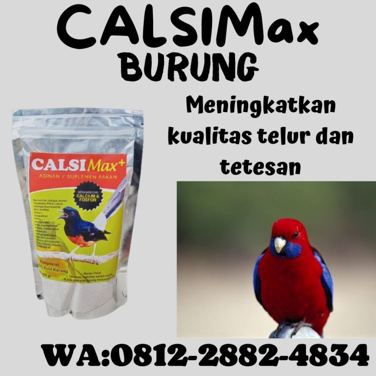 TERBAIK, 0812-2882-4834, Grosir Calsi Max Suplemen Tinggi Kalsium Untuk Burung Sepah Rokan Hulu, Toko Calsimax Suplemen Pakan Burung Ciblek Rokan Hilir, Pusat Calsimax+ Suplemen Burung Cendet Cepat Bertelur Bagansiapiapi