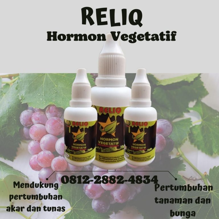 Terbaik, 0812-2882-4834, Grosir Hormon Penumbuh Akar Lumajang, Pabrik Hormon Perangsang Tumbuh Akar Madiun, Murah Hormon Penumbuh Akar Tanaman Caruban