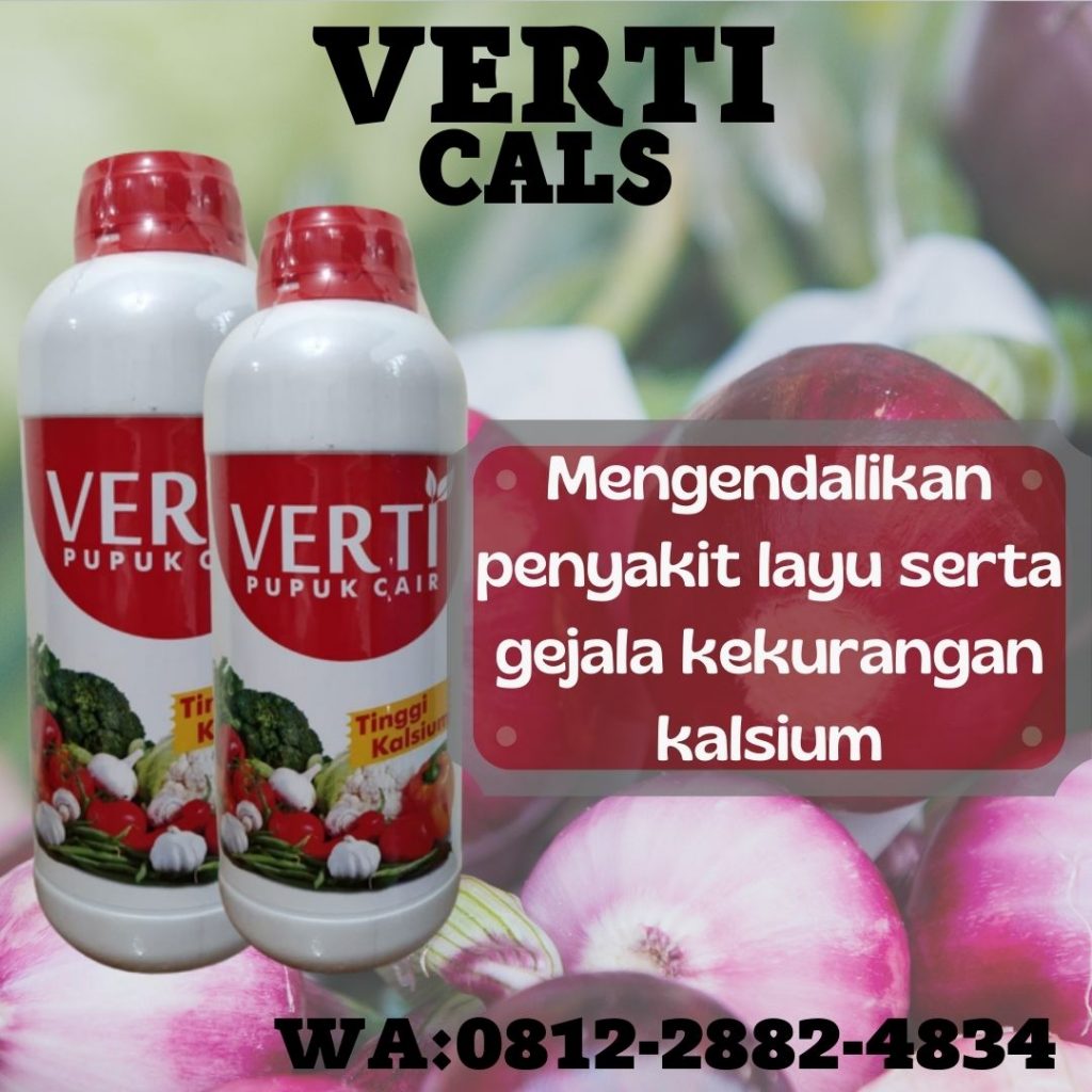  Harga Pupuk Agar Bawang Merah Besar Muaro Sijunjung, Produsen Pupuk Awal Bawang Merah Tanah Datar, Grosir Pupuk Bawang Batak Padang Pariaman, Pabrik Pupuk Bawang Bombay Parit Malintang, Murah Pupuk Cair Bawang Merah Agam, Diskon Pupuk Bawang Daun Lubuk Basung, Tempat Pupuk Bawang Daun Musim Hujan Lima Puluh Kota, Jual Pupuk Bawang Daun Yang Bagus Pasaman, Agen Pupuk Bawang Daun Yg Bagus Lubuk Sikaping, Distributor Pupuk Bawang Merah Di Polybag Tuapejat