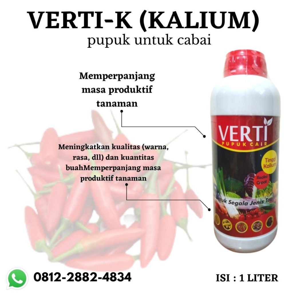  Harga Pupuk Cabe Keriting Yang Bagus Palangkaraya, Pabrik Pupuk Kalsium Cabe Kotawaringin Barat, Grosir Pupuk Kandang Cabai Pangkalan Bun, Murah Pupuk Kimia Cabai Rawit Kotawaringin Timur, Toko Pupuk Kompos Cabai Sampit, Agen Pupuk Lombok Cabe, Distributor Pupuk Cabai Lengkap Kapuas, Produsen Pupuk Agar Cabe Lebat Kuala Kapuas, Diskon Pupuk Lanjutan Cabe Barito Selatan, Jual Pupuk Untuk Buah Cabe Lebat Buntok