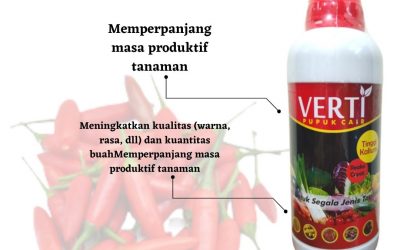 Diskon, 0812-2882-4834, Harga Pupuk Cabe Keriting Yang Bagus Palangkaraya, Pabrik Pupuk Kalsium Cabe Kotawaringin Barat, Grosir Pupuk Kandang Cabai Pangkalan Bun