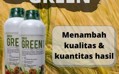 Terpercaya, 0812-2882-4834, Harga Pupuk Padi Umur 60 Hari Banda Aceh, Produsen Pupuk Padi Umur 10 Hari Aceh Barat, Grosir Pupuk Padi Musim Hujan Meulaboh