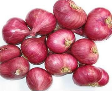 Murah Pupuk Untuk Bawang Prei, Beli Pupuk Booster Bawang Merah, Sedia Booster Pembesar Umbi Bawang Merah, Jual Booster Umbi Bawang Merah, Diskon Obat Bawang Merah, Distributor Pupuk Umbi Bawang Merah, Agen Pupuk Pembesar Umbi Bawang Merah, Murah Pupuk Pembesar Umbi Bawang, Beli Pupuk Agar Umbi Bawang Merah Besar, Sedia Pupuk Memperbesar Umbi Bawang